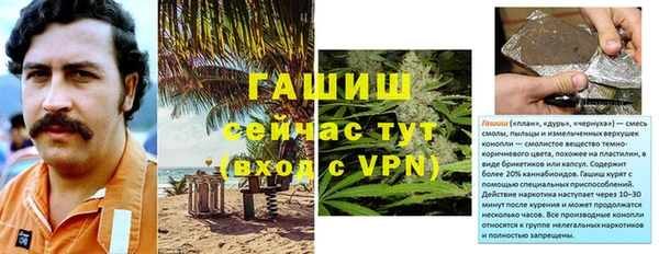 ешки Богданович