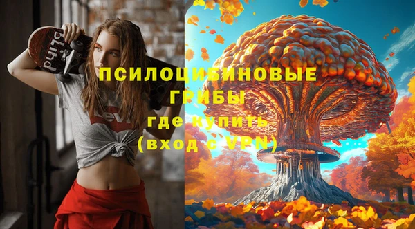 PSILOCYBIN Богородицк