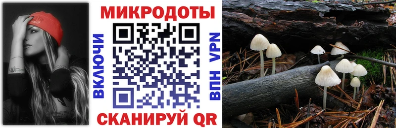 МЕГА маркетплейс  это официальный сайт  Галлюциногенные грибы мицелий  где купить наркоту  Гороховец 