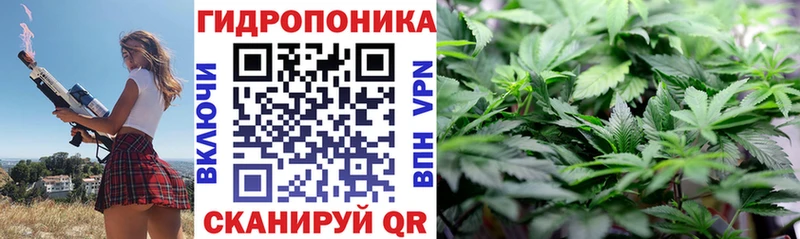 Конопля Amnesia закладки Гороховец